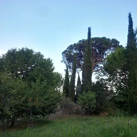 La Limonaia アパート Pollutri