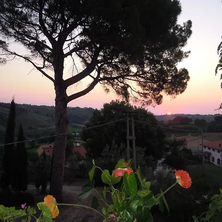 La Limonaia Apartment