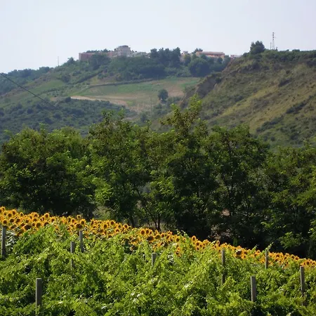 La Limonaia *