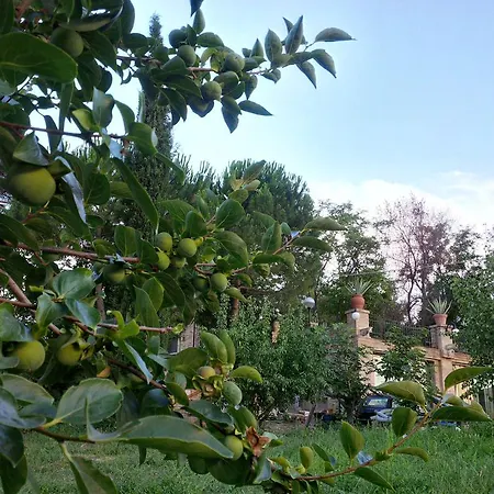 La Limonaia * Pollutri