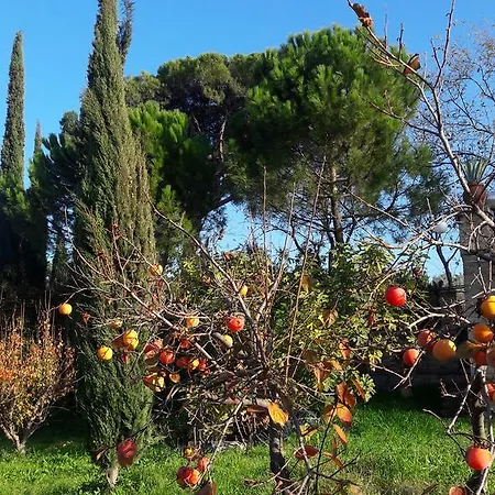 La Limonaia *