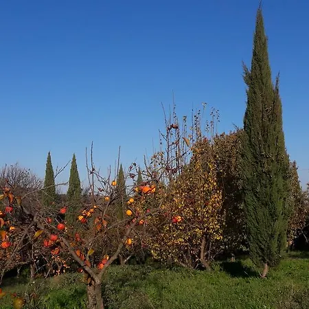 La Limonaia