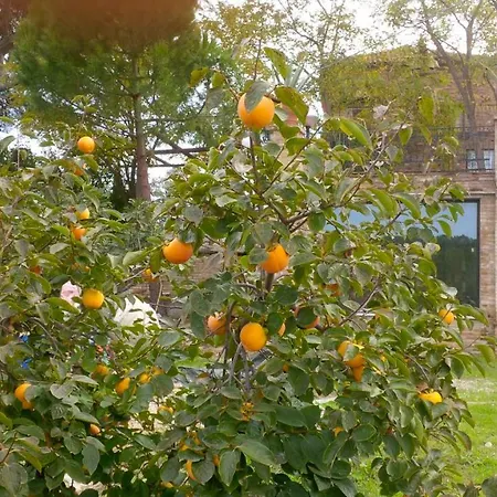 La Limonaia * Pollutri