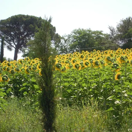 La Limonaia アパート Pollutri